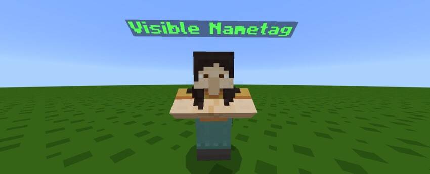 Always Visible NPC Name Tags screenshot 1 of 1