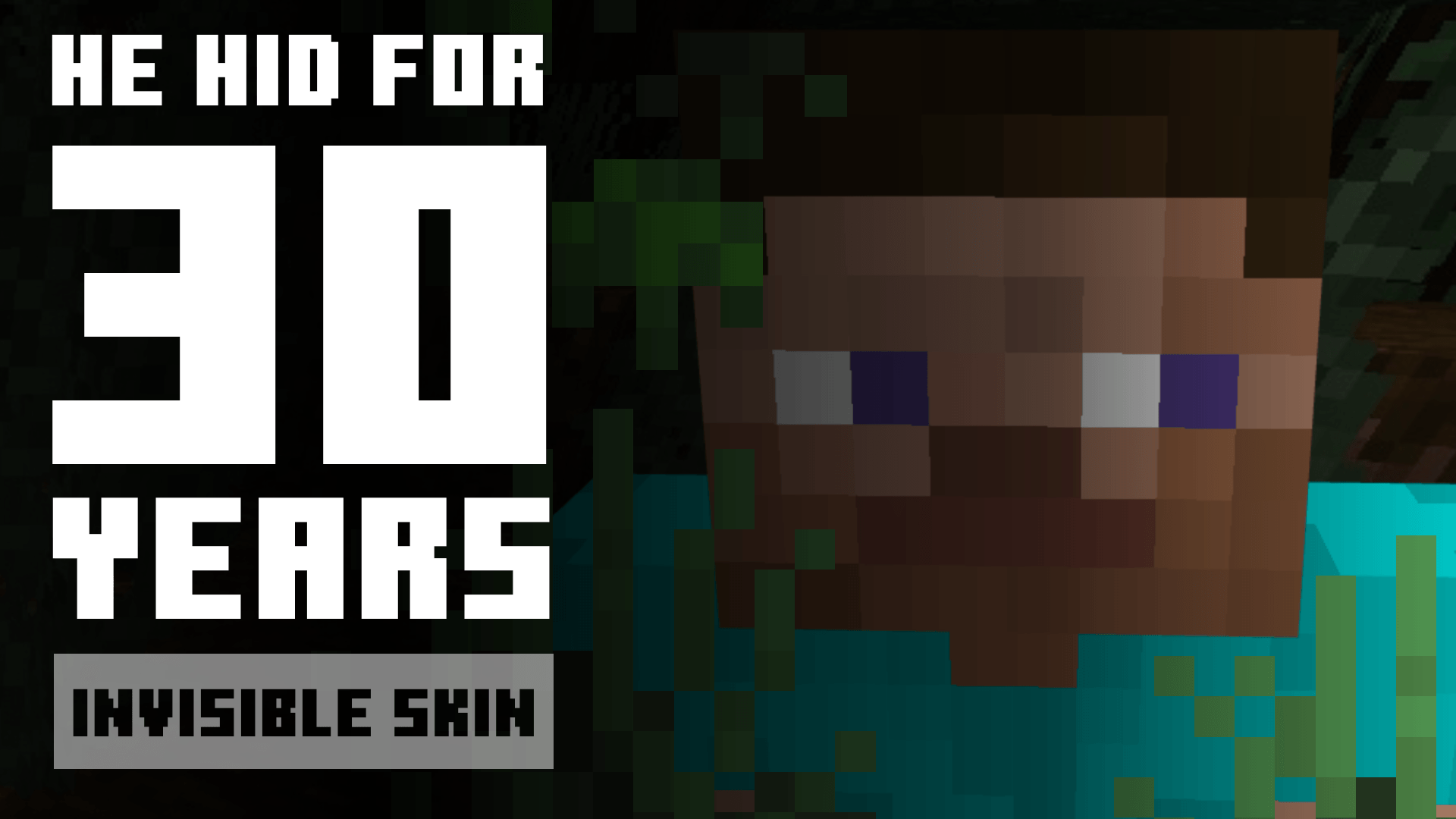 Invisible skins | hide player armor and items screenshot 1 of 6
