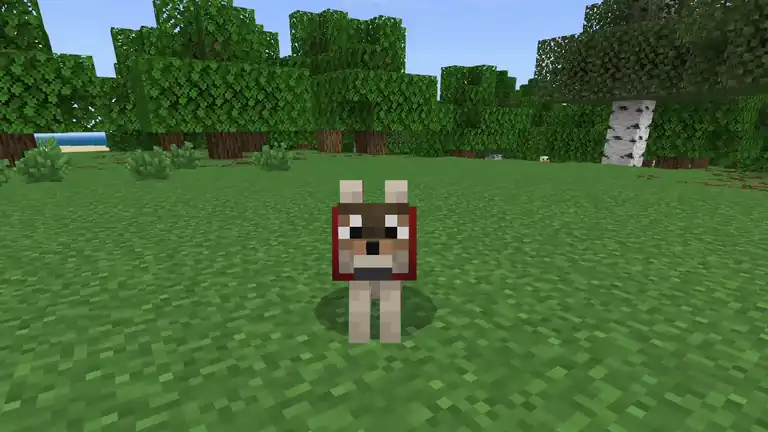 PatPat screenshot 1 of 1