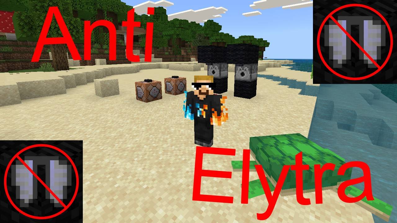 Anti Elytra screenshot 1 of 1