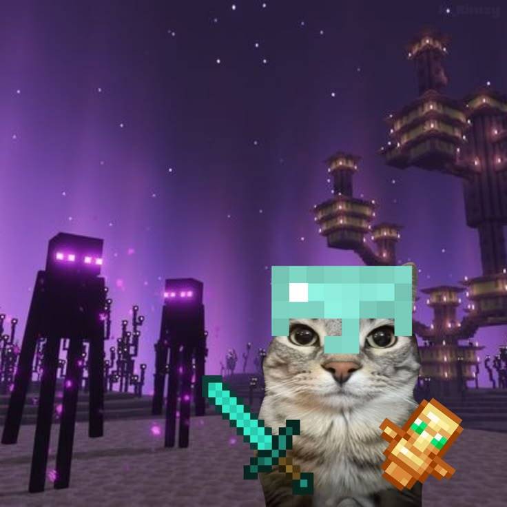 cat attacking you for no reason screenshot 1 of 2